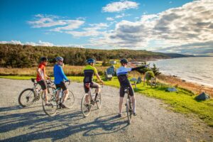 Group Biking Adventure